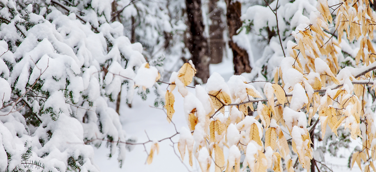 Photos : J’aime l’hiver – Chalet à Val-des-Monts